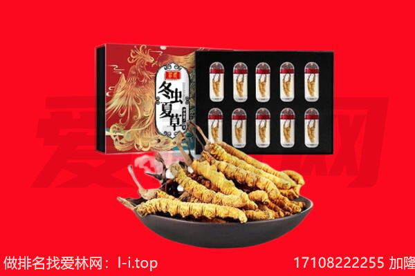 徐州铜山区回收虫草.jpg